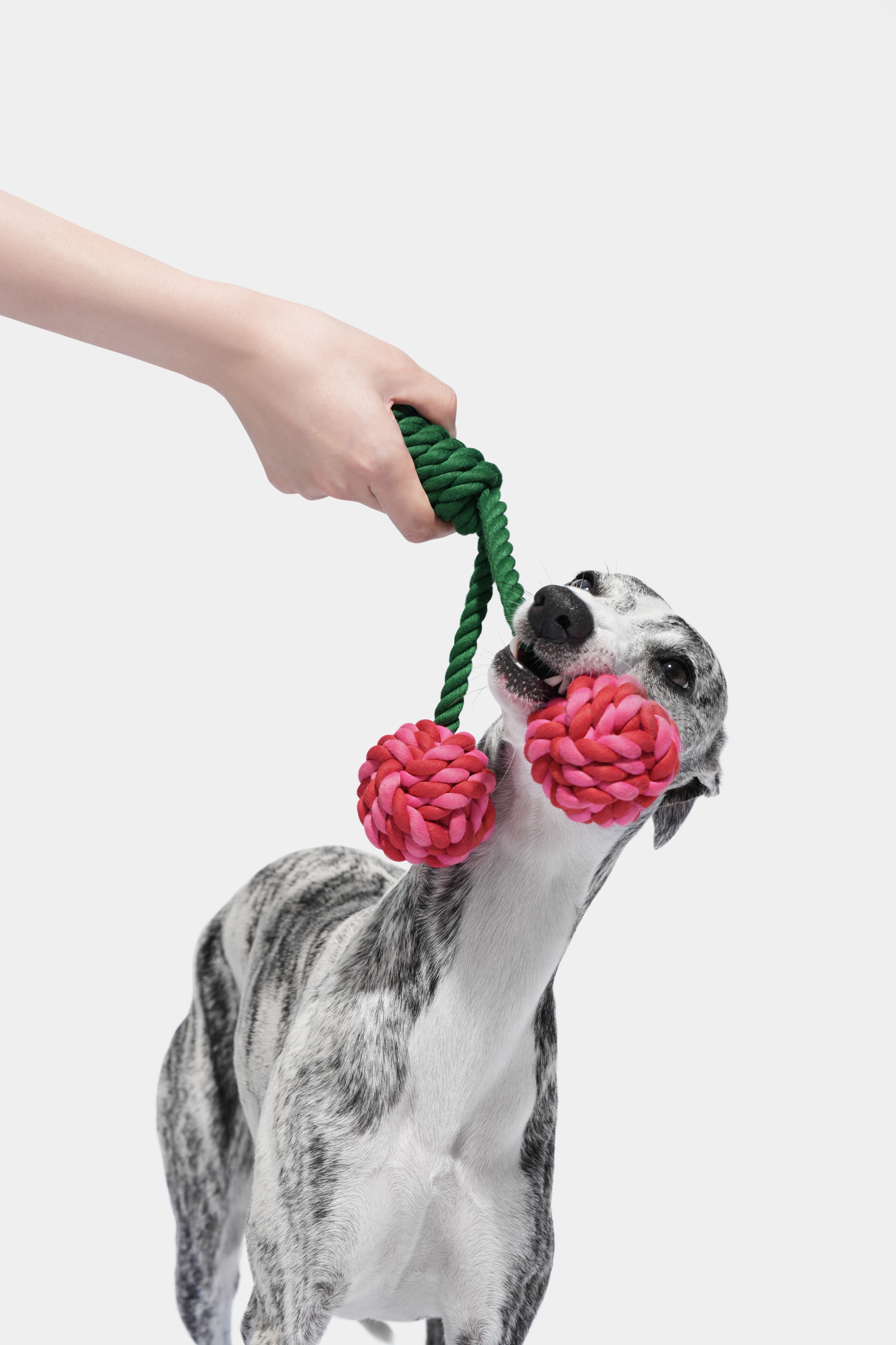 DOG ROPE TOY | VETRESKA | CHERRY KNOT ROPE TOY
