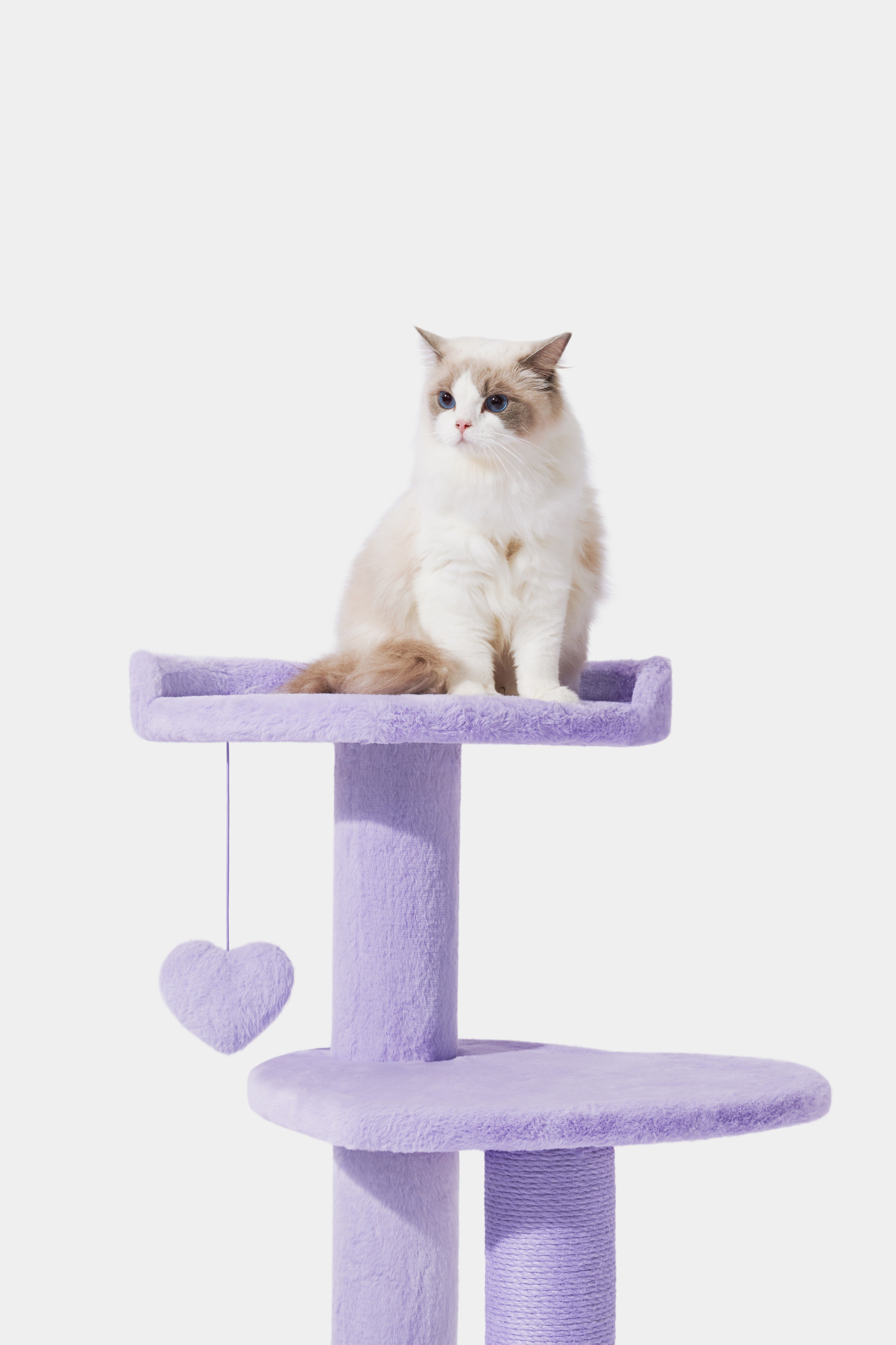 Heartpurrple Cat Climber