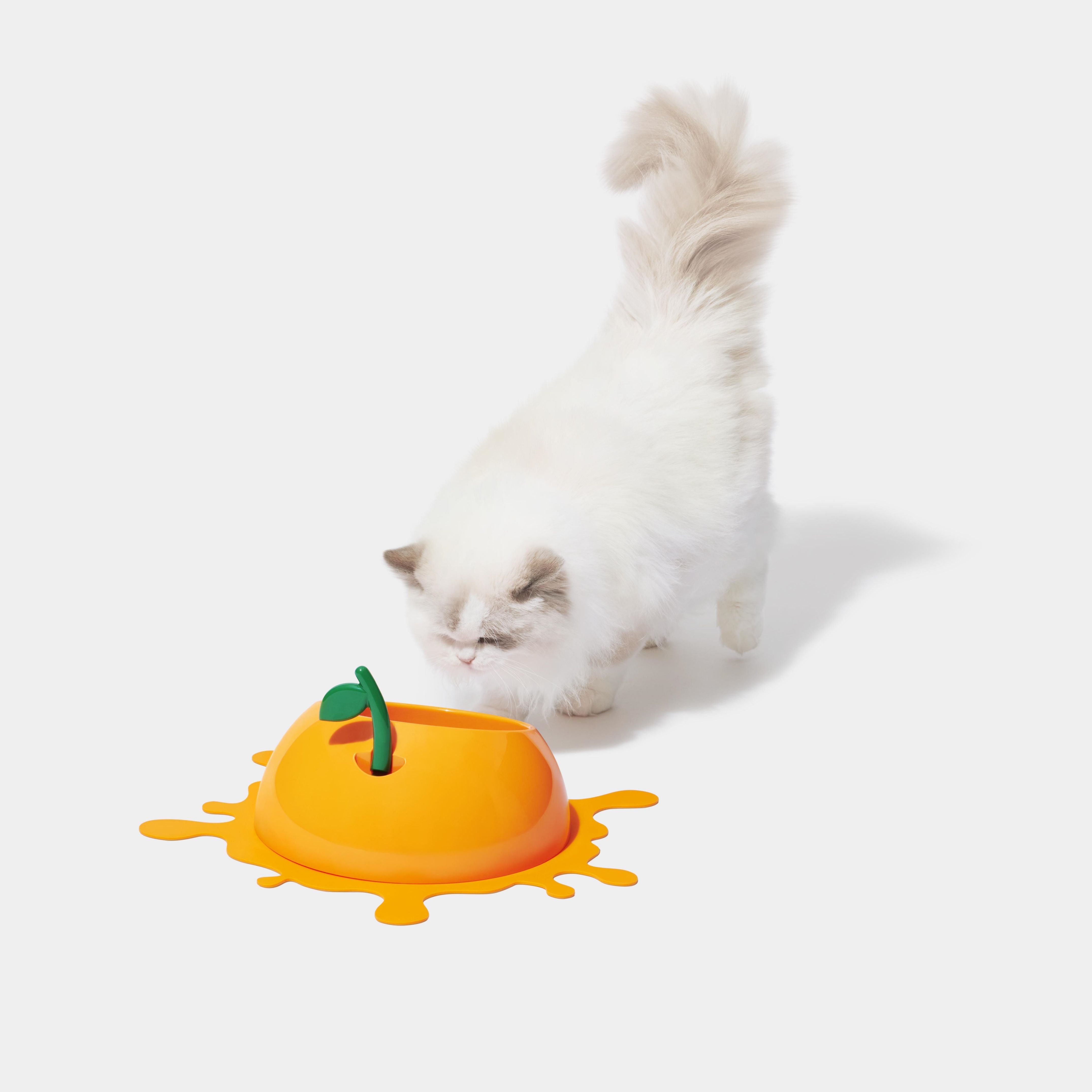 VETRESKA-Juicy Cherry/Tangerine Pet Bowl&Spoon &Mat Set Two Types