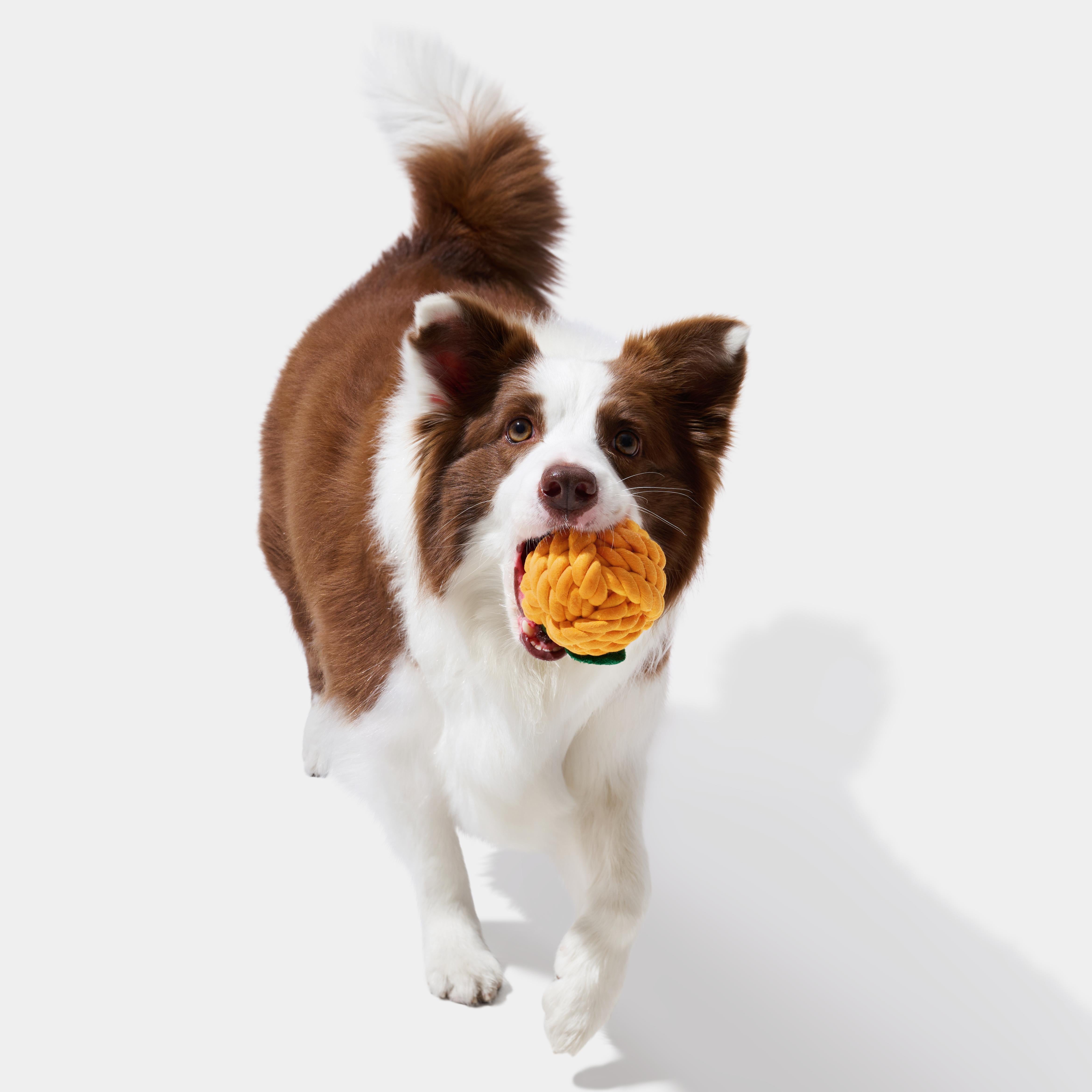 DOG TOY|KNOT ROPE|VETRESKA TANGERINE KNOT ROPE TOY