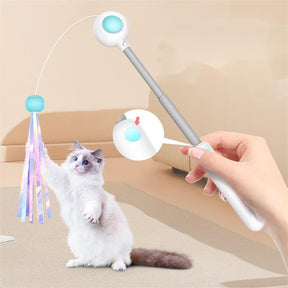 Retractable Cat Wandwith Laser