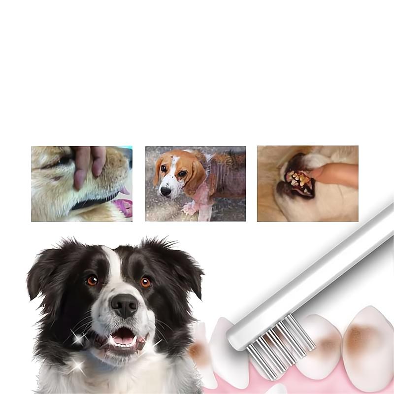 KOJIMA-Toothbrush for Dogs