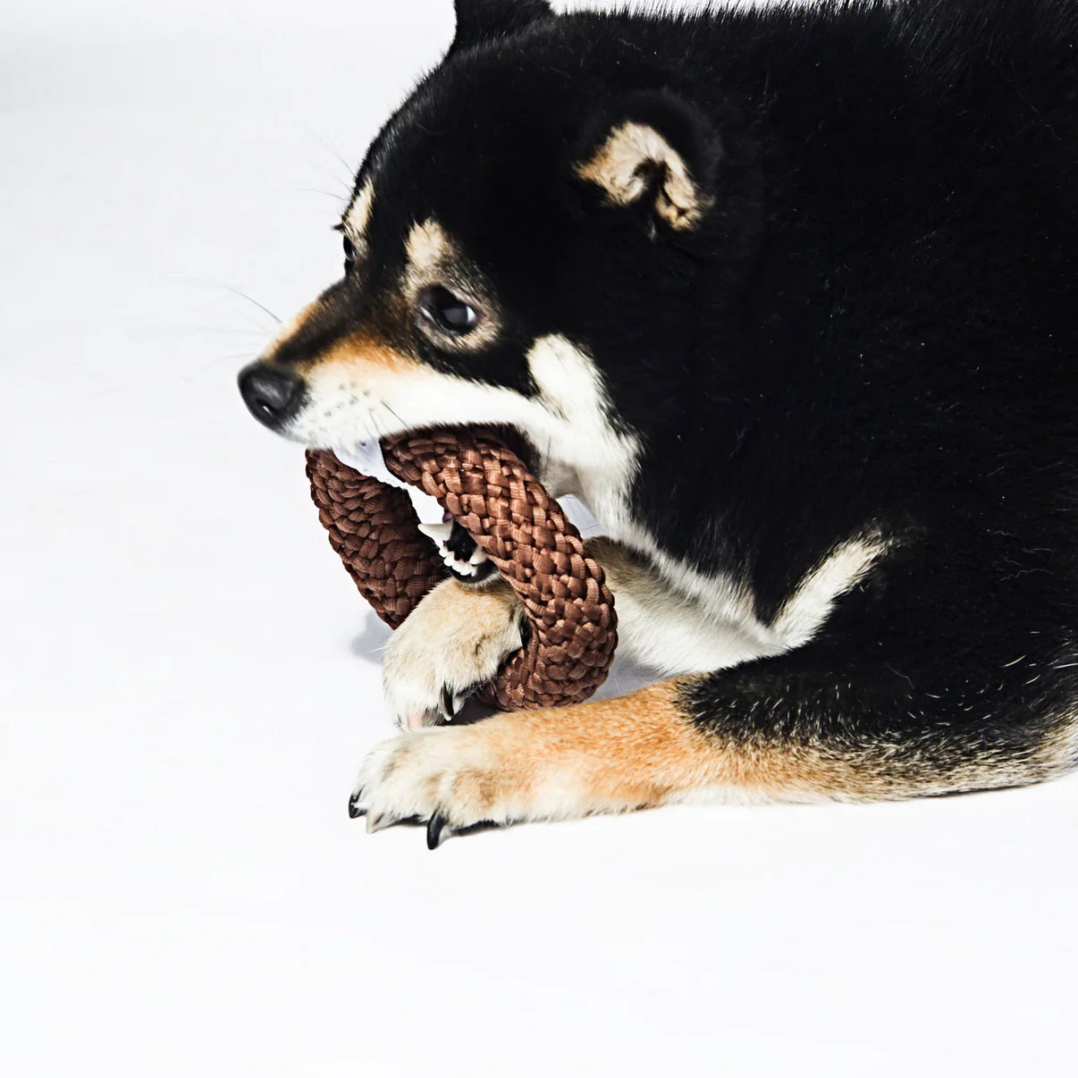 KASHIMA-Kashima Strawberry Donut Pet Chew Toy