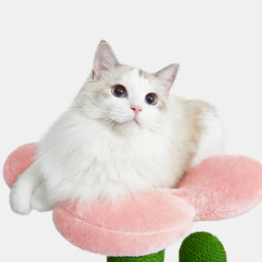 VETRESKA-Blooming Cactus Cat Tree