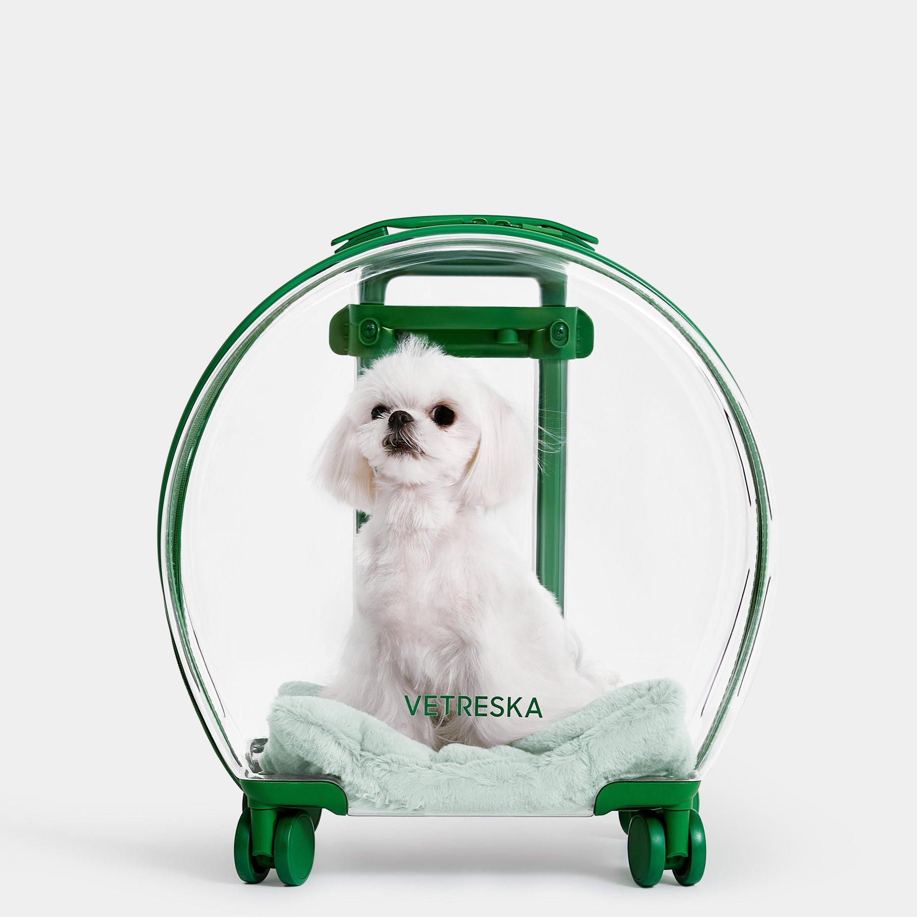 Vetreska Bubble Pets Luggage Green