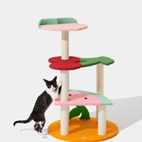 VETRESKA-Fruity Frency Cat Climber