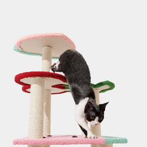 VETRESKA-Fruity Frency Cat Climber