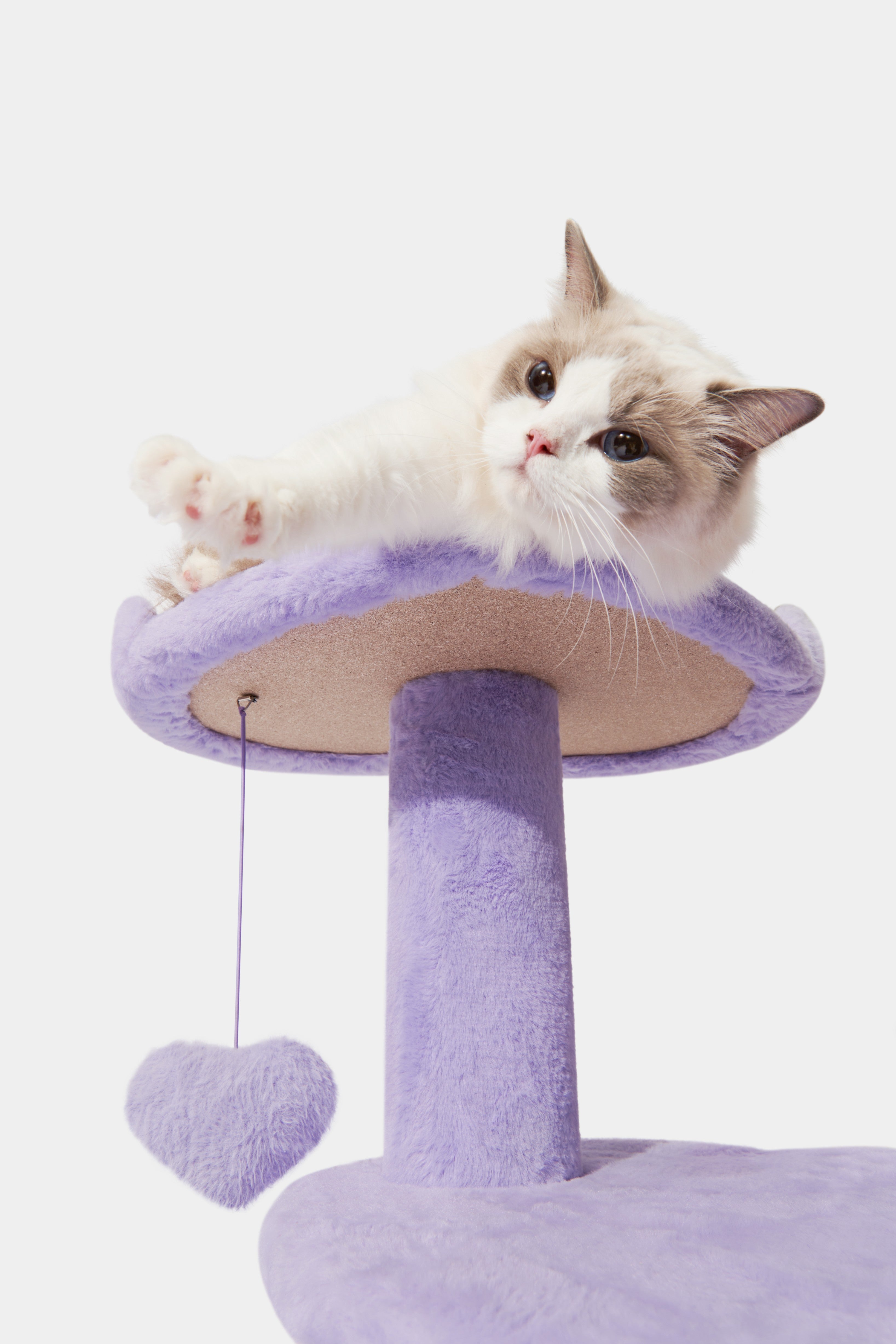 Heartpurrple Cat Climber