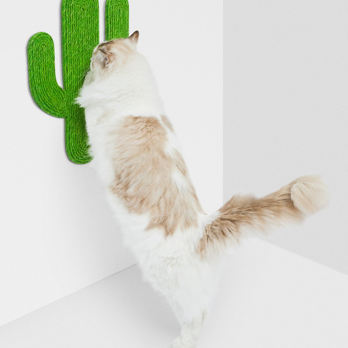 VETRESKA-Oasis Cactus Cat Scratching Board