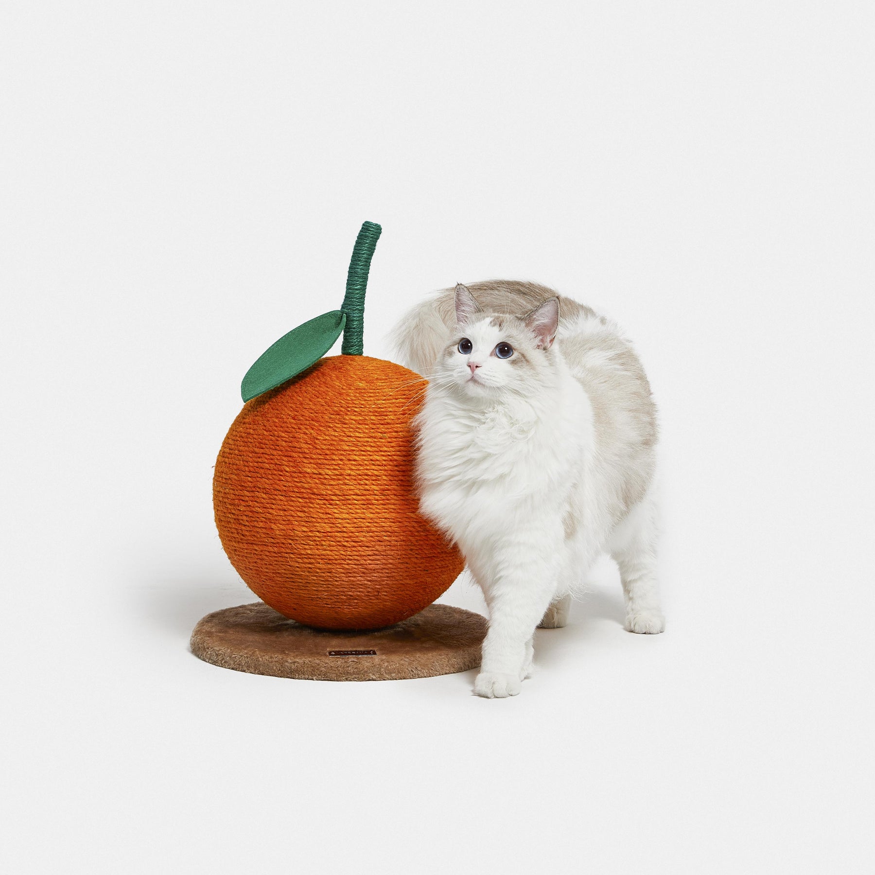 VETRESKA-Tangerine Cat Scratching Ball