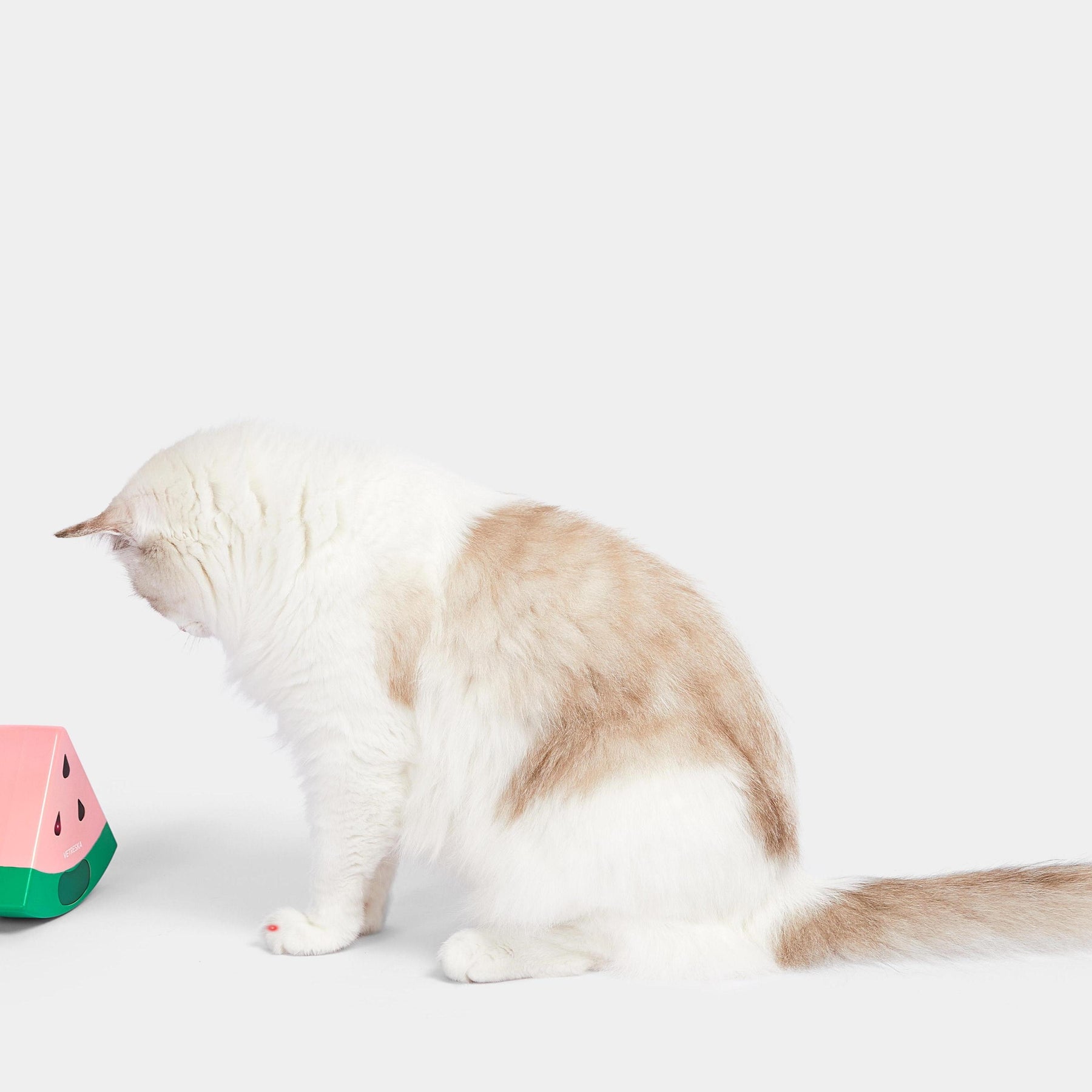 VETRESKA-Watermelon Automatic Laser Cat Toy