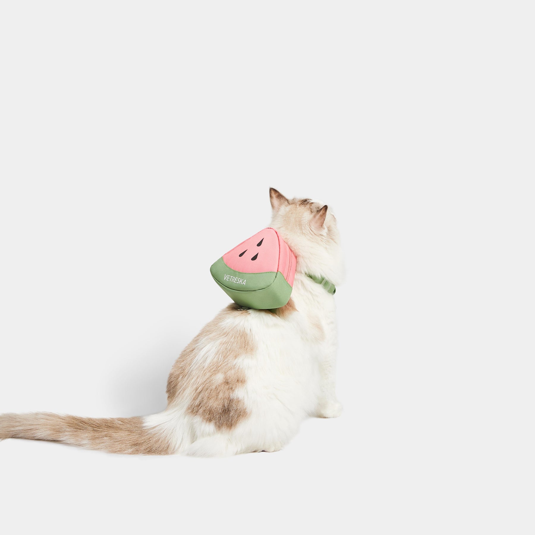 VETRESKA-Watermelon Pet Harness Backpack With Leash