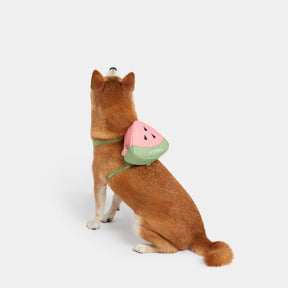 VETRESKA-Watermelon Pet Harness Backpack With Leash