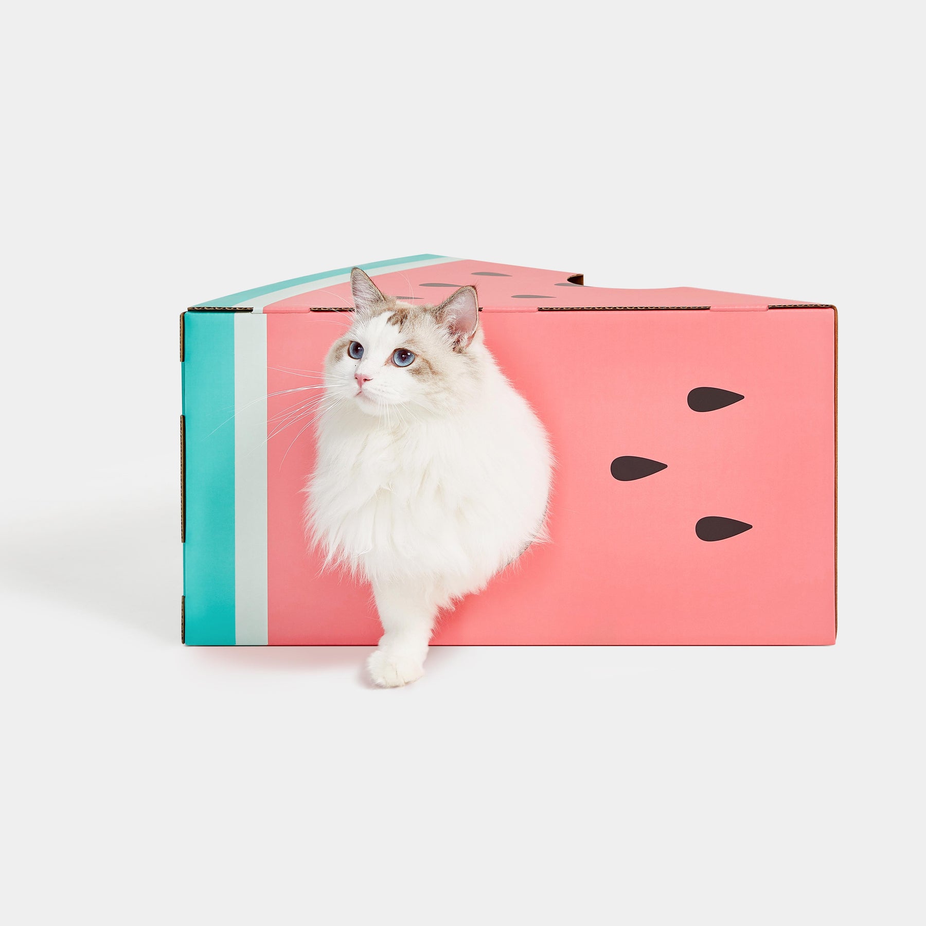 VETRESKA-Watermelon Red Cat Scratching Box