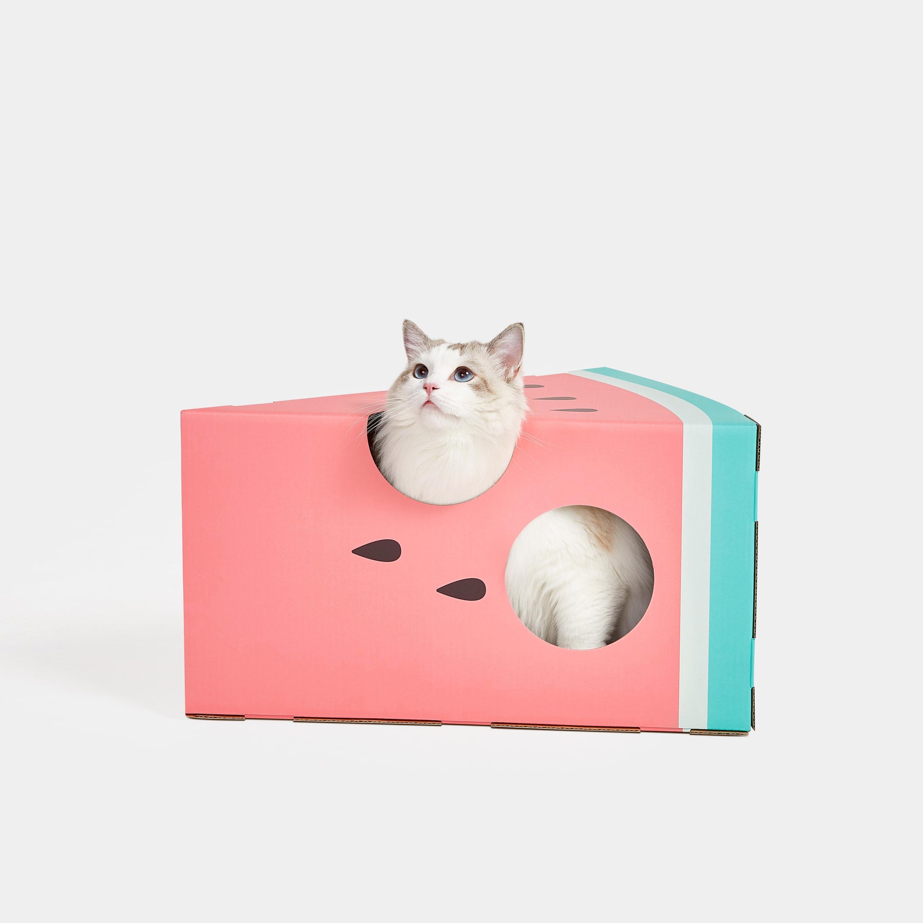 VETRESKA-Watermelon Red Cat Scratching Box